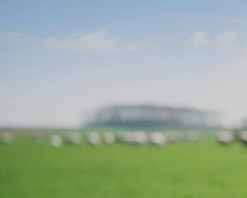 qu'est-ce que la personne morale ?